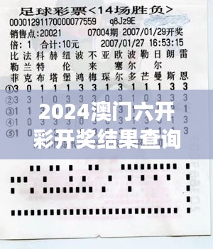 2024澳门六开彩开奖结果查询349期:分析中奖号码分布