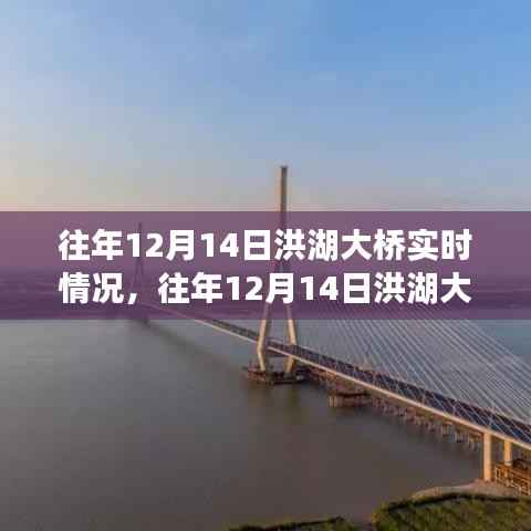 往年12月14日洪湖大桥深度评测,实时情况、特性、体验、竞品对比及用户分析
