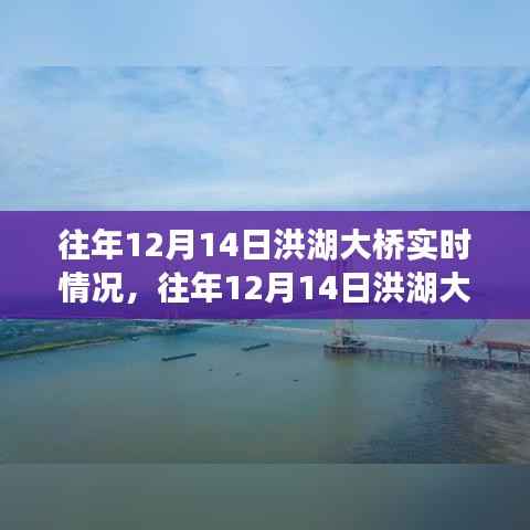 往年12月14日洪湖大桥深度评测,实时情况、特性、体验、竞品对比及用户分析