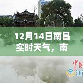 南昌暖阳下的知识力量,学习成就与实时天气同步提升