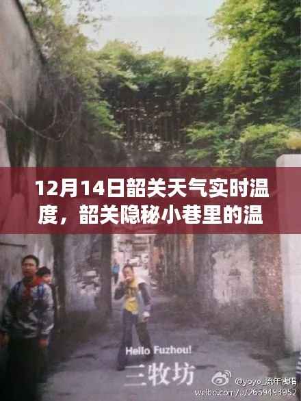 韶关隐秘小巷的温暖角落,实时天气与意外惊喜的相遇