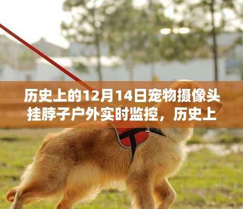 宠物摄像头挂脖子户外实时监控,特殊日子的温情瞬间