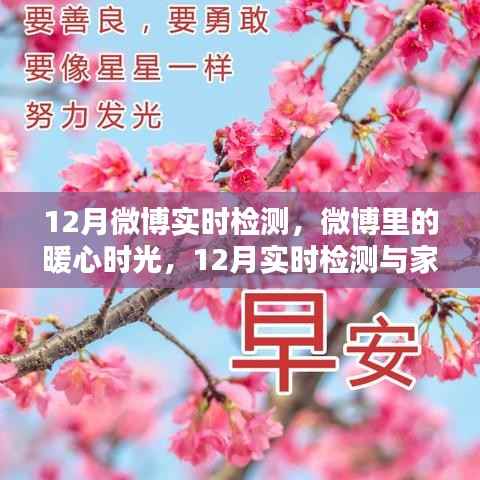 微博暖心时光,12月实时检测下的家之温馨日常
