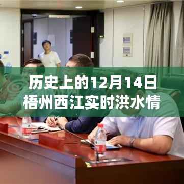 梧州西江洪水实录,探寻历史与自然的足迹,追寻洪水背后的故事