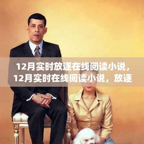 12月放逐中的阅读盛宴,实时在线小说阅读