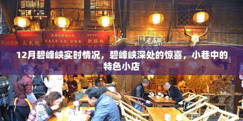 碧峰峡惊喜探索,深度游赏与小巷特色小店揭秘(实时更新)