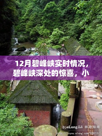 碧峰峡惊喜探索,深度游赏与小巷特色小店揭秘(实时更新)