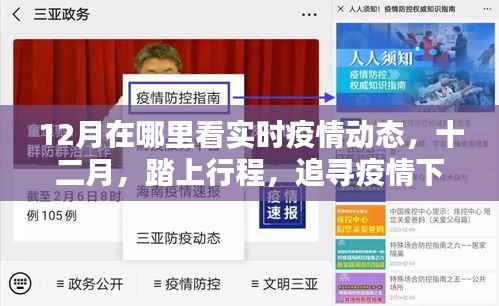 十二月疫情下的旅行,追寻自然美景与内心宁静的实时动态