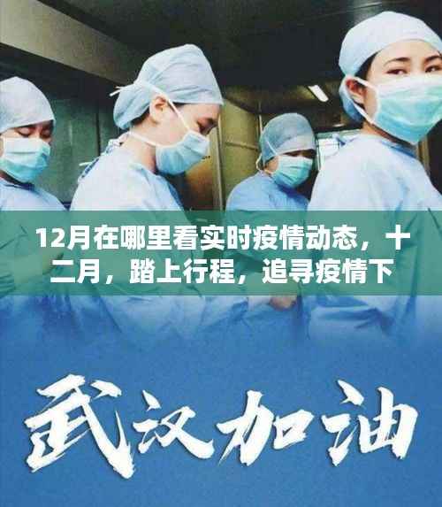 十二月疫情下的旅行,追寻自然美景与内心宁静的实时动态