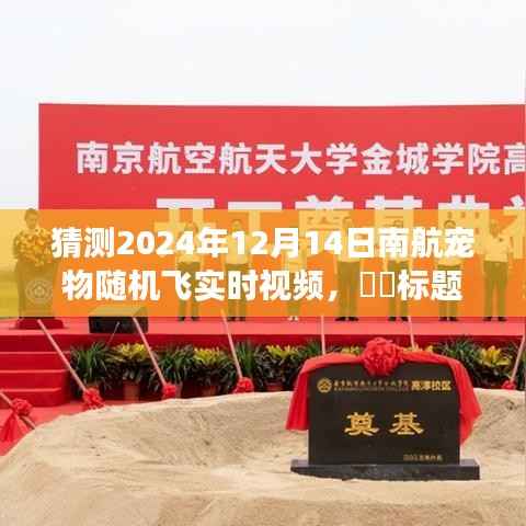 南航宠物飞行记,探索自然美景,心灵飞翔的奇妙一天(实时视频记录)