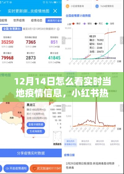 掌握最新动态!小红书热门推荐揭秘如何轻松获取当地疫情实时信息——以12月14日为例
