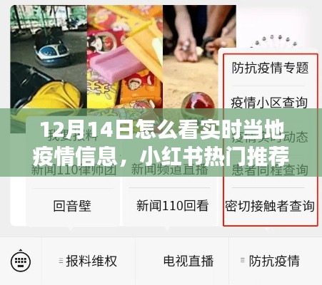 掌握最新动态!小红书热门推荐揭秘如何轻松获取当地疫情实时信息——以12月14日为例