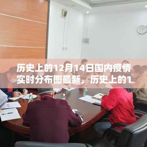 历史上的12月14日国内疫情实时分布图最新动态及全面评测介绍