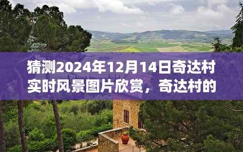 奇达村冬日风景图片欣赏,探寻2024年12月14日的温暖故事与奇遇