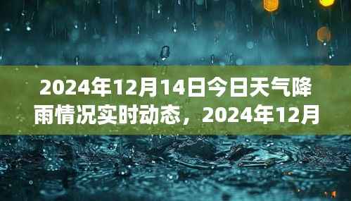 雨幕下的城市景象,实时解析2024年12月14日降雨动态