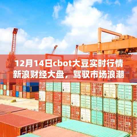 12月14日CBOT大豆实时行情下的励志航程,学习变化成就自信与辉煌