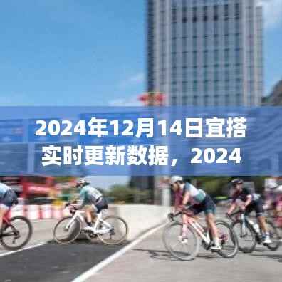 与数据共舞,心灵启程之时——2024年12月14日实时更新数据