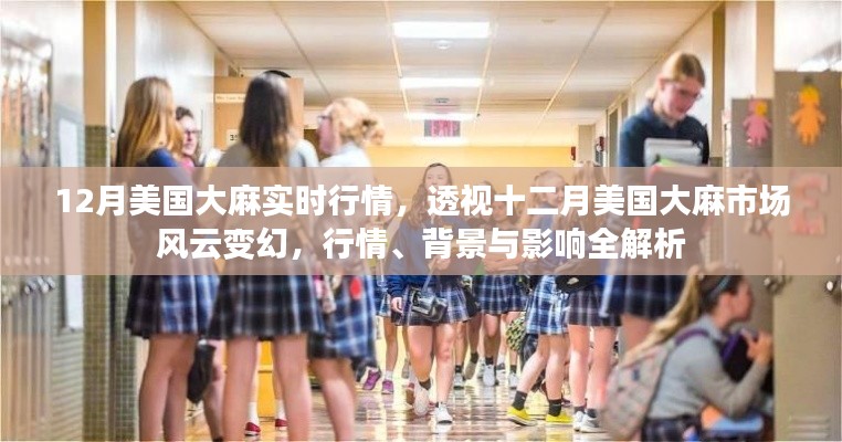 透视十二月美国大麻市场,实时行情、背景与影响全解析