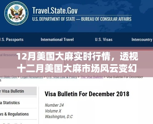 透视十二月美国大麻市场,实时行情、背景与影响全解析