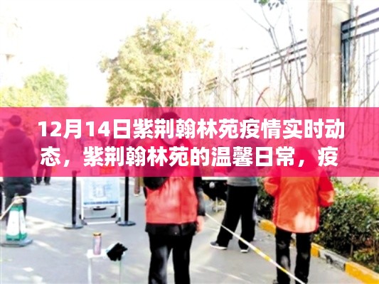 紫荆翰林苑疫情实时动态,疫情之下的温馨日常与暖心故事