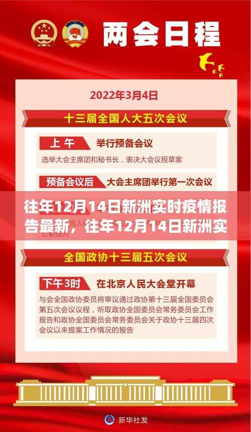 往年12月14日新洲实时疫情报告最新动态,共筑健康防线