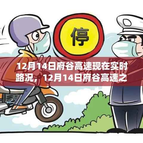 12月14日府谷高速实时路况与追寻自然美景之旅,宁静与平和的发现