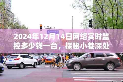 探秘小巷深处的科技秘境,揭秘网络实时监控设备价格与故事(2024年最新)