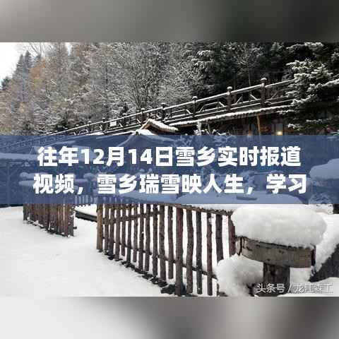 往年雪乡瑞雪映人生,自信与成就感的成长之旅(实时报道视频)