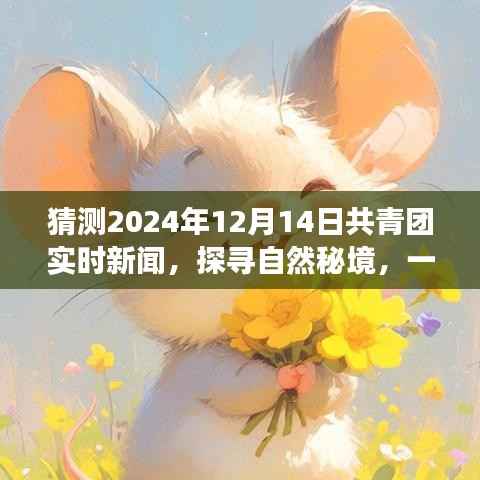 共青团引领心灵之旅,探寻自然秘境,期待青年探索自然美景的旅程猜想(2024年12月14日实时新闻)