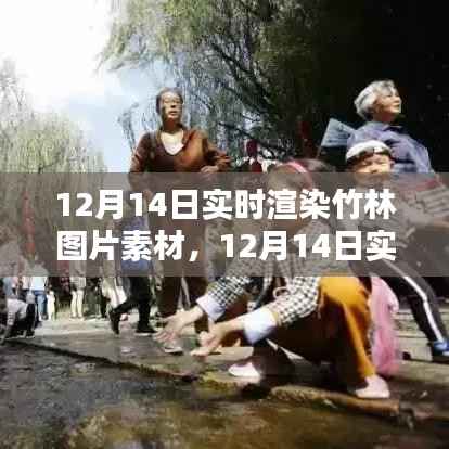 12月14日实时渲染竹林图片素材技术探讨与观点阐述,素材与技术结合的新视角