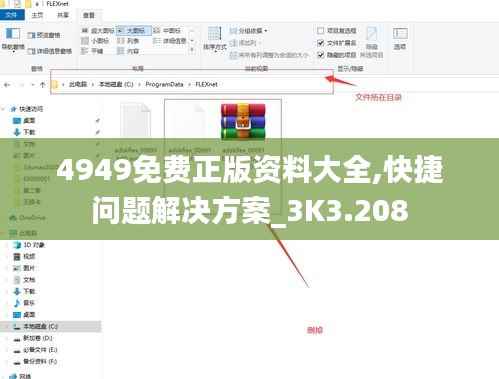 4949免费正版资料大全,快捷问题解决方案_3K3.208