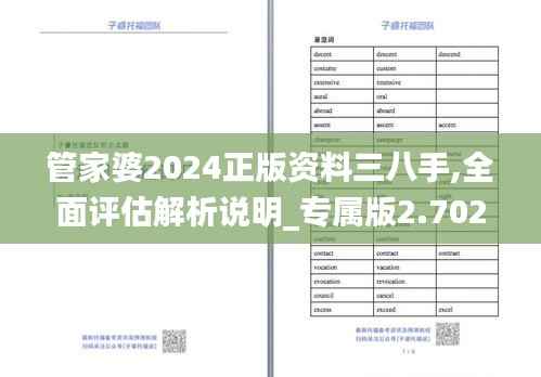 管家婆2024正版资料三八手,全面评估解析说明_专属版2.702