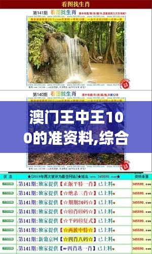 澳门王中王100的准资料,综合解答解释定义_桌面版5.406