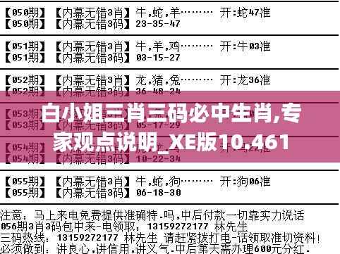 白小姐三肖三码必中生肖,专家观点说明_XE版10.461