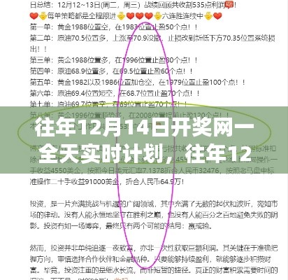 往年12月14日开奖网一全天实时计划回顾与策略分享,同行者的经验与启示