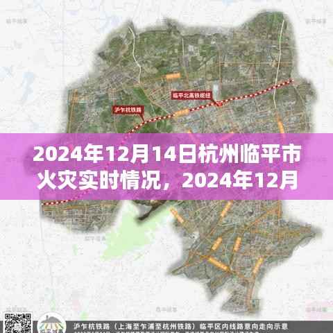 独家解析,临平市火灾实时情况全面报道