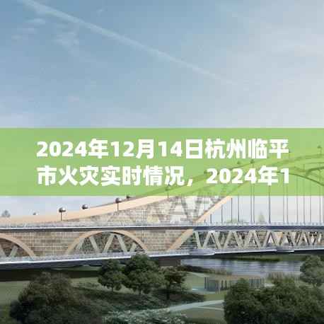 独家解析,临平市火灾实时情况全面报道