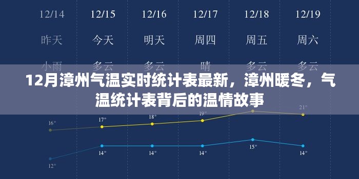 漳州暖冬温情揭秘,最新气温实时统计表与背后故事