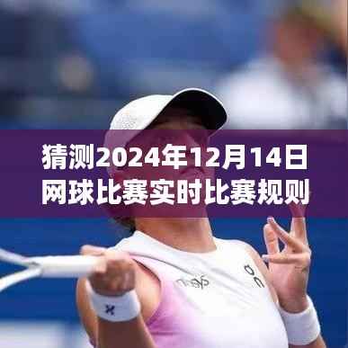 梦幻网球日,揭秘2024年网球比赛实时规则图,一场比赛铸就永恒回忆
