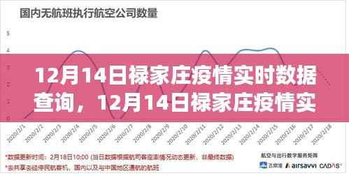 12月14日禄家庄疫情实时数据解析与关键信息解读