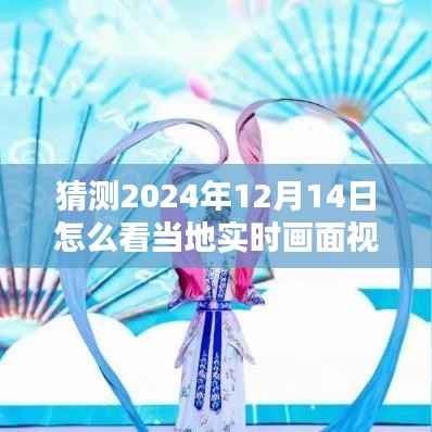 如何预测并观看2024年12月14日当地实时画面视频,初学者与进阶用户指南