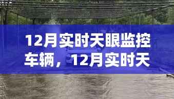 12月实时天眼监控车辆,利弊分析