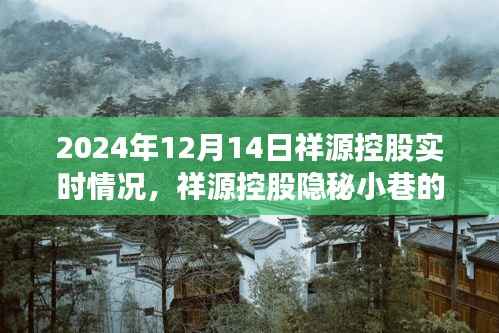 祥源控股隐秘小巷特色小店探秘,实时祥源控股动态揭秘(2024年12月14日)