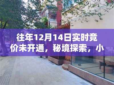 秘境探索,揭秘往年12月14日竞价未解之谜与小巷深处的特色小店