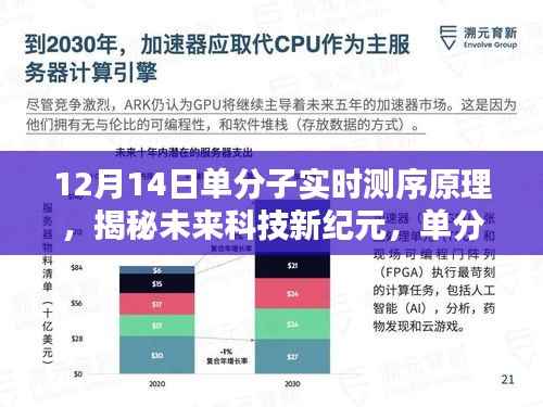 揭秘单分子实时测序原理,开启未来科技新纪元,颠覆性体验触手可及