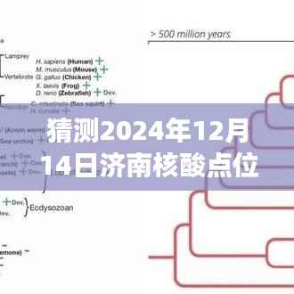 济南核酸点位实时查询背后的励志之旅,预测未来,掌握变化,超越自我。