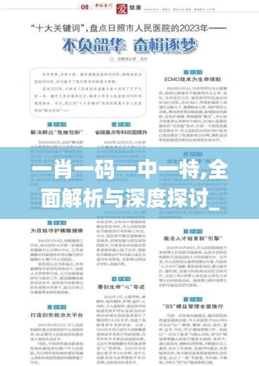 一肖一码一中一特,全面解析与深度探讨_WP4.125