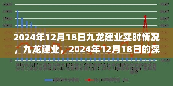 九龙建业深度洞察,2024年12月18日实时情况及展望