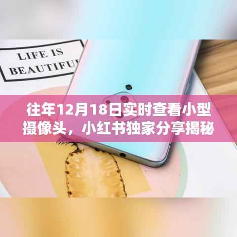 小红书独家揭秘,往年12月18日实时查看小型摄像头的神奇体验纪实!