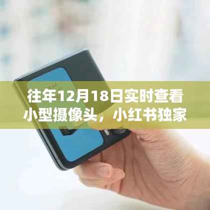 小红书独家揭秘,往年12月18日实时查看小型摄像头的神奇体验纪实!
